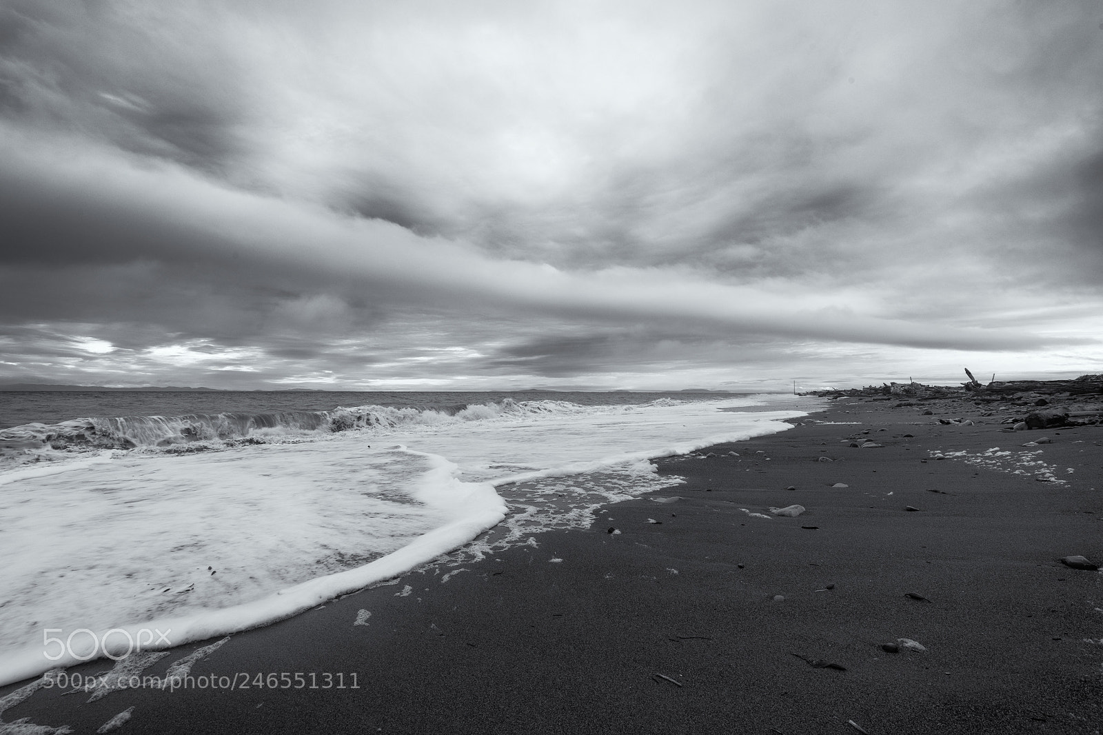 Nikon D850 sample photo. Dungeness spit photography