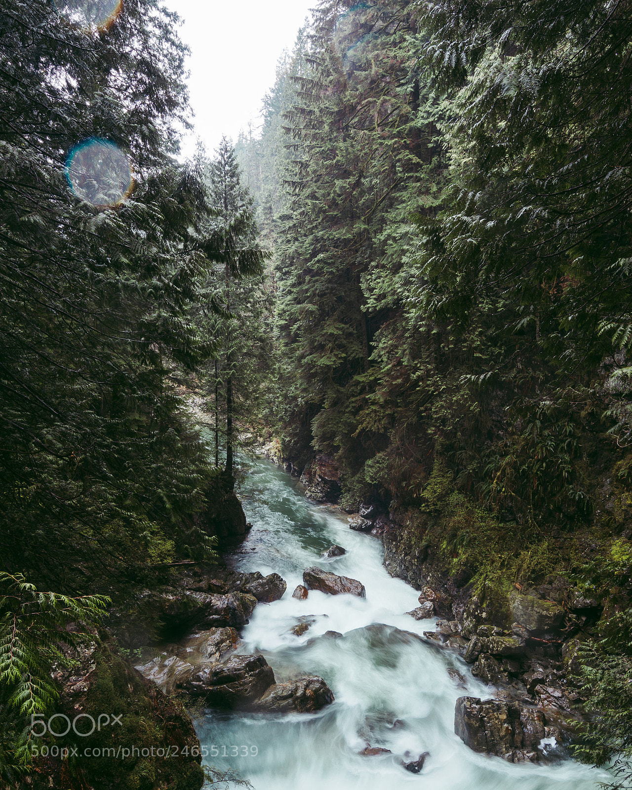 Nikon D3200 sample photo. Rainy day in vancouver photography