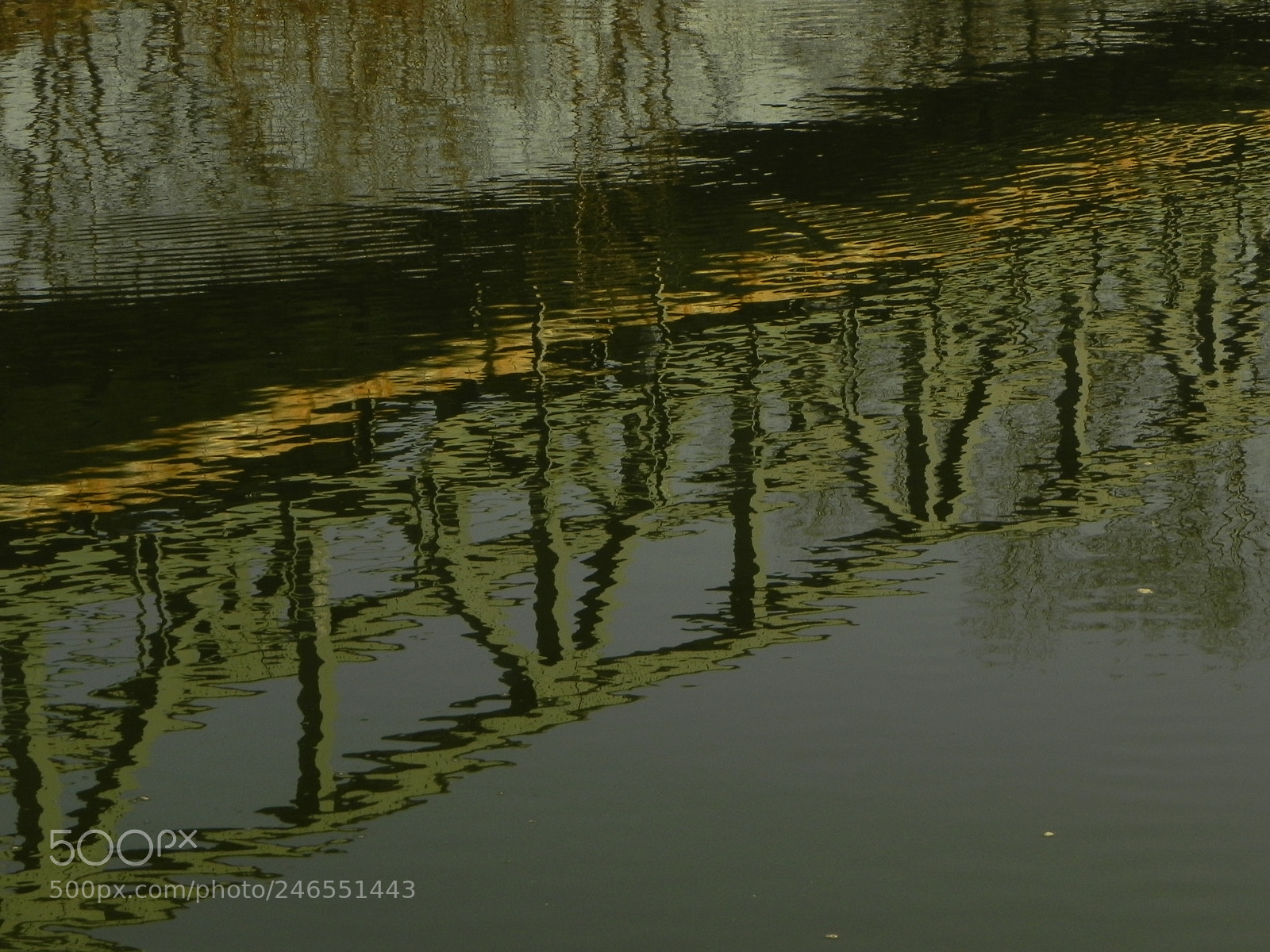 Nikon Coolpix P100 sample photo. Railway bridge reflection photography