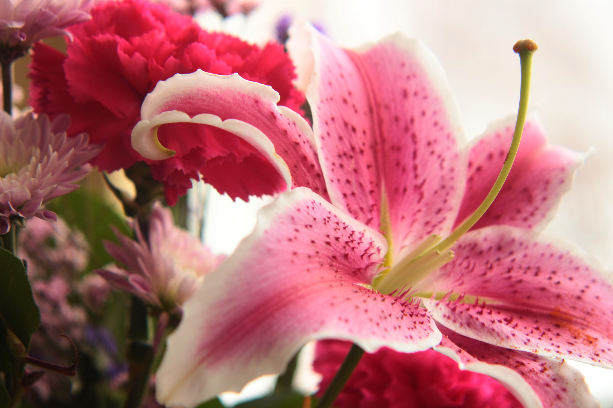 Canon EF-S 55-250mm F4-5.6 IS II sample photo. Finale photography