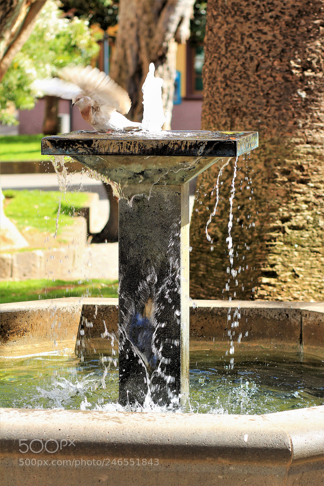 Canon EOS 600D (Rebel EOS T3i / EOS Kiss X5) sample photo. Img plaza de la photography