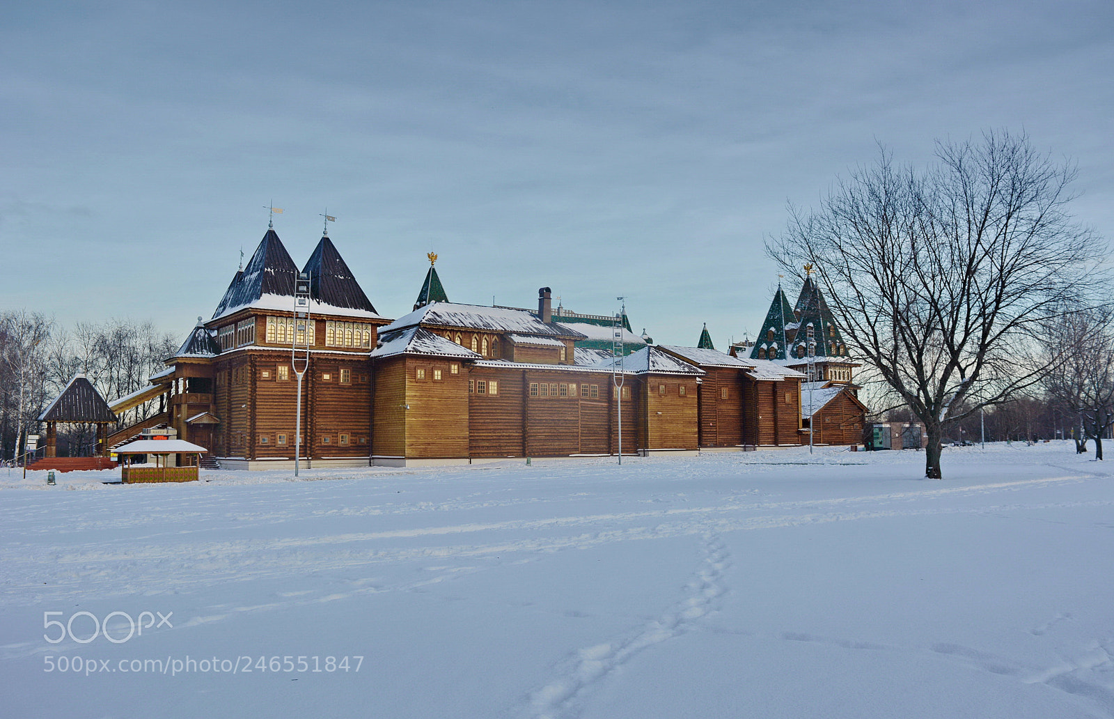 Nikon D5200 sample photo. Park and museum photography
