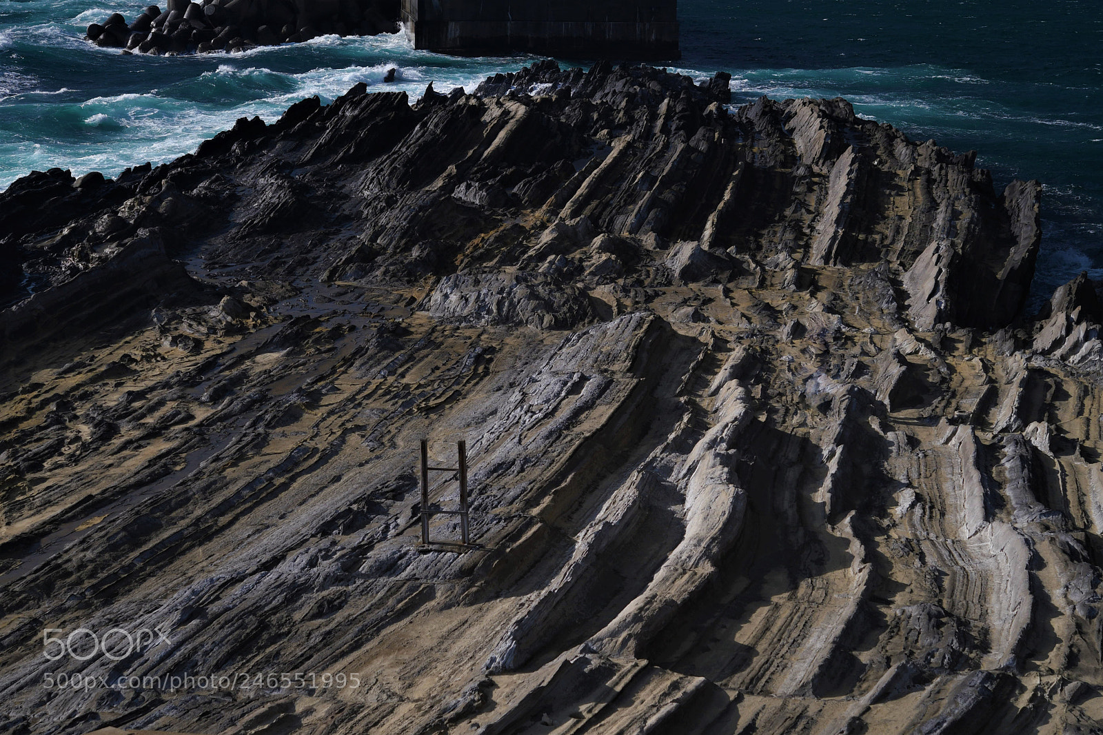 Nikon D500 sample photo. Jougashima island photography