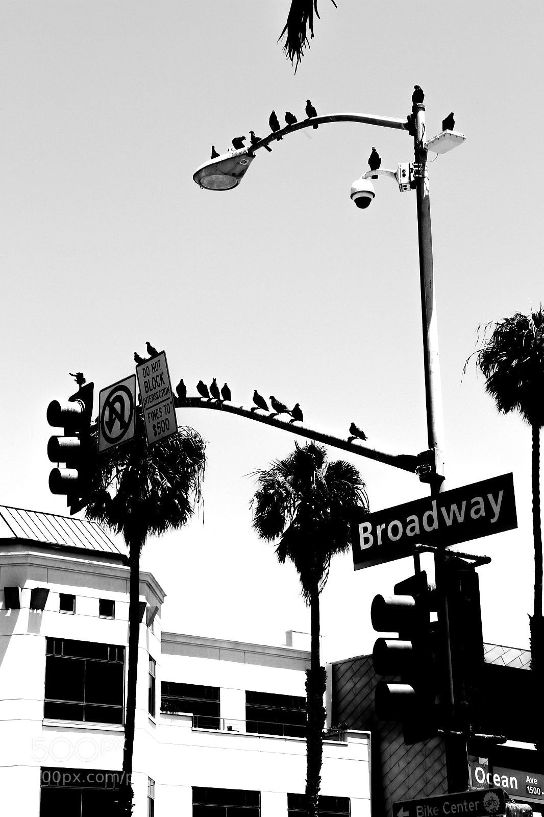 Canon EOS 7D sample photo. Broadway photography