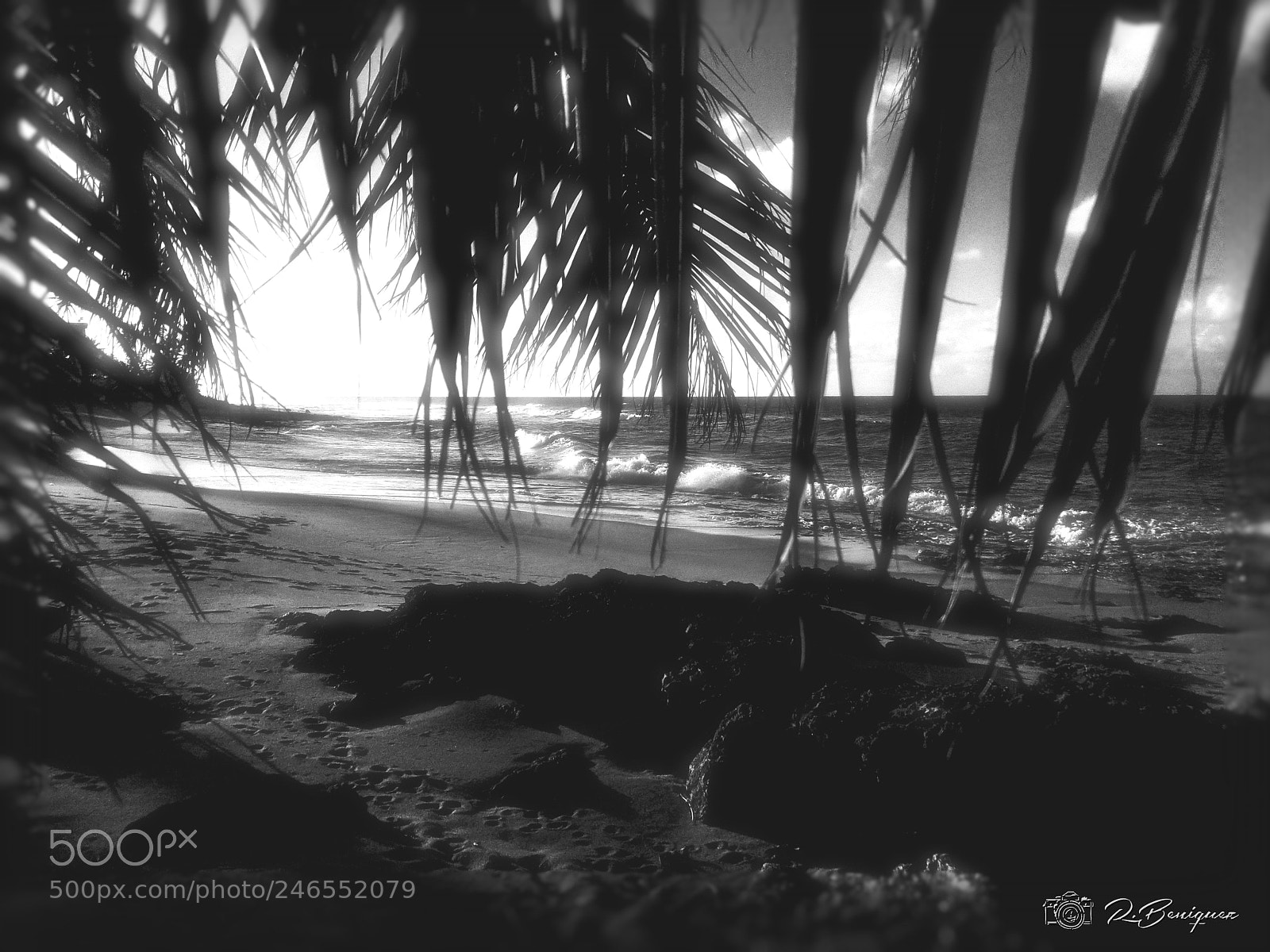 Samsung Galaxy S8 sample photo. Hatillo photography