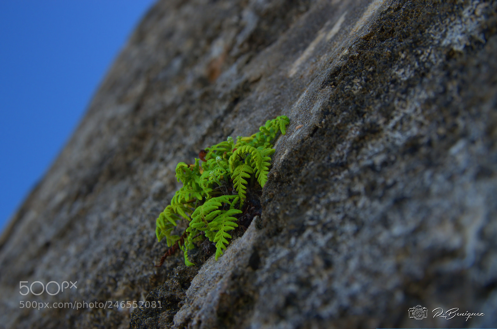 Nikon D5100 sample photo. Life photography