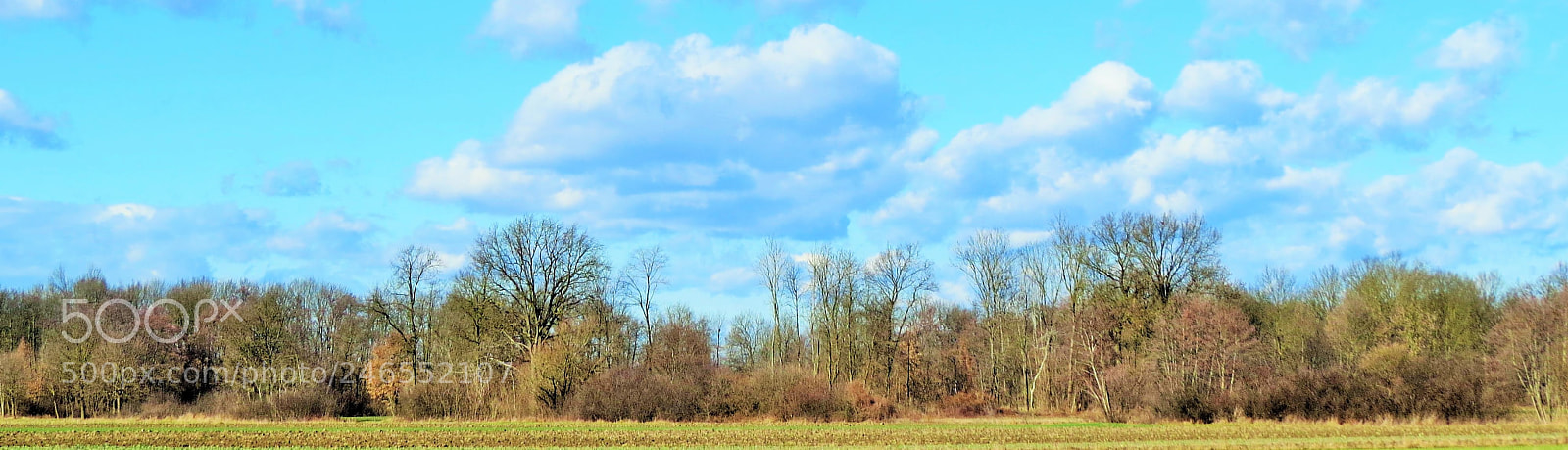 Canon PowerShot SX50 HS sample photo. () photography