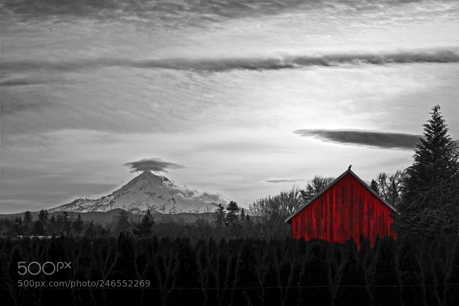 Nikon D7200 sample photo. The red barn photography