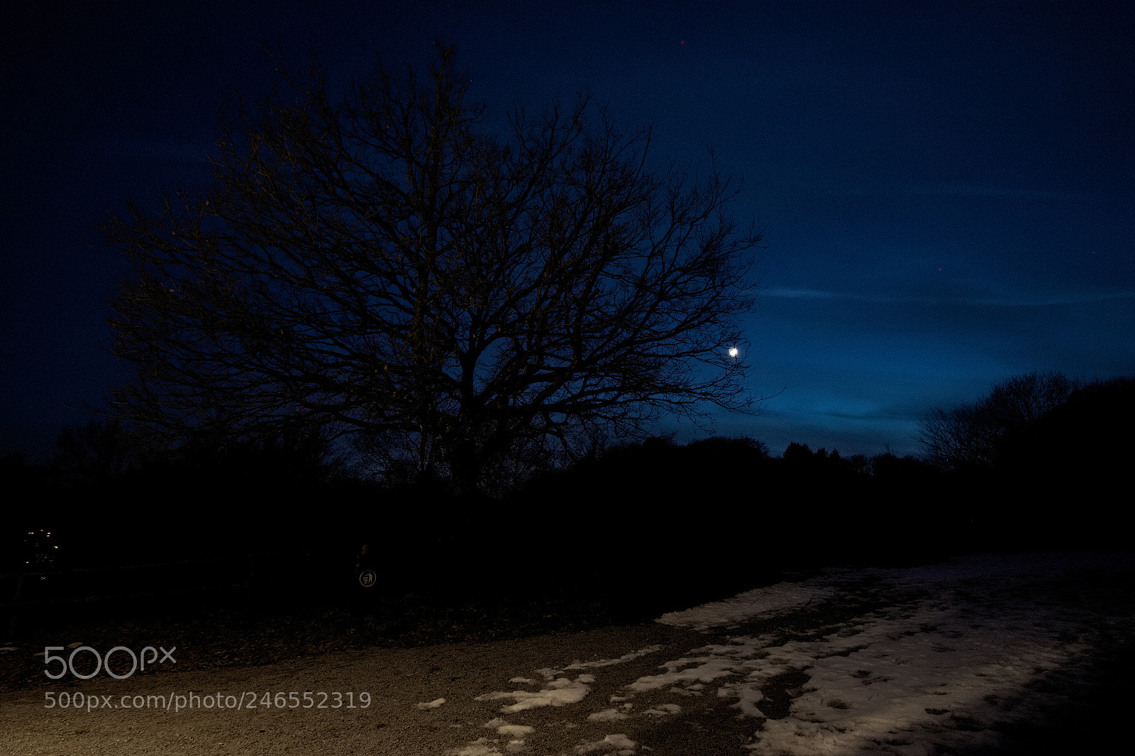 Canon EOS 100D (EOS Rebel SL1 / EOS Kiss X7) sample photo. 2018-02-18 baum mit mond photography