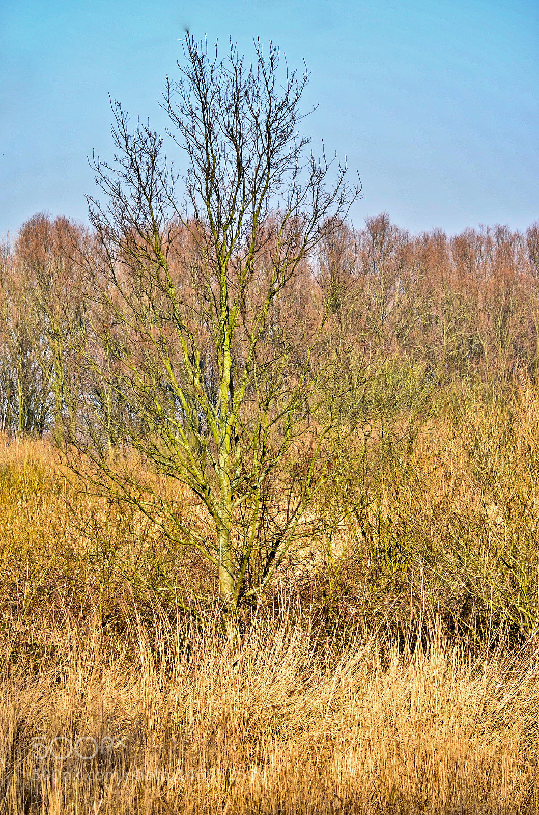 Nikon D5100 sample photo. It's all about colour photography