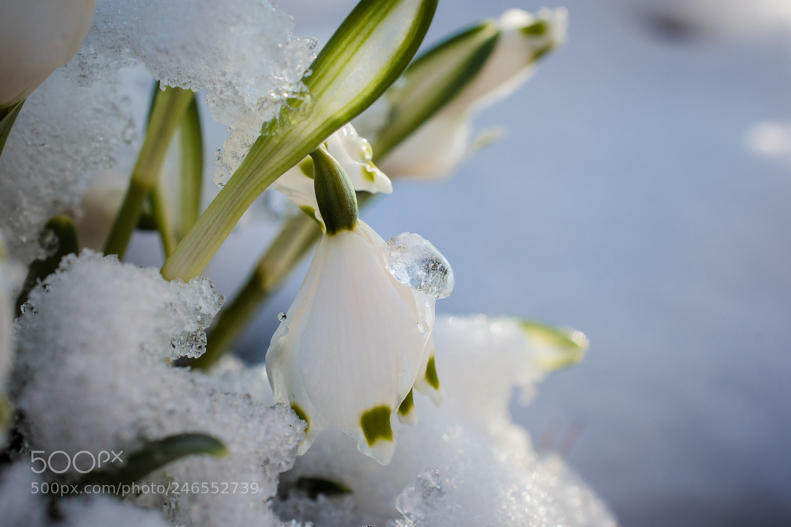 Nikon D7200 sample photo. Durchbruch photography