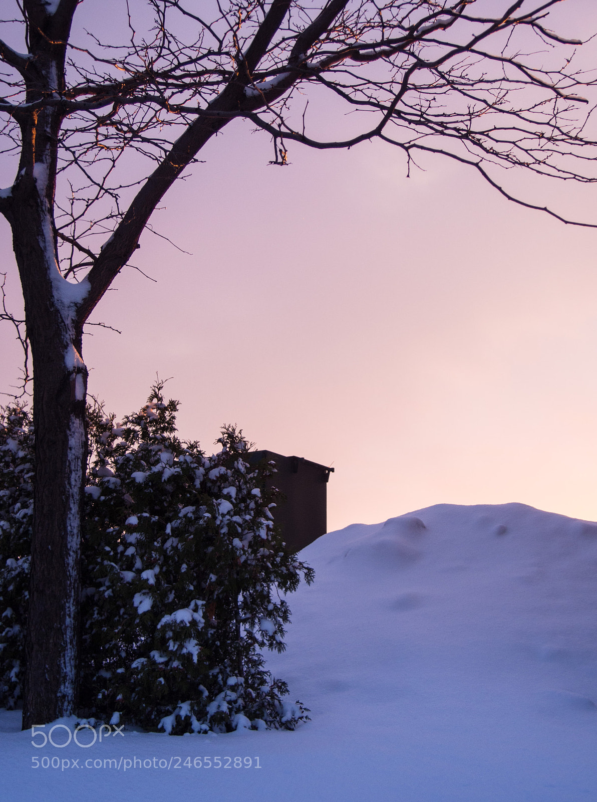 Olympus PEN E-PM2 sample photo. Alone at dusk photography