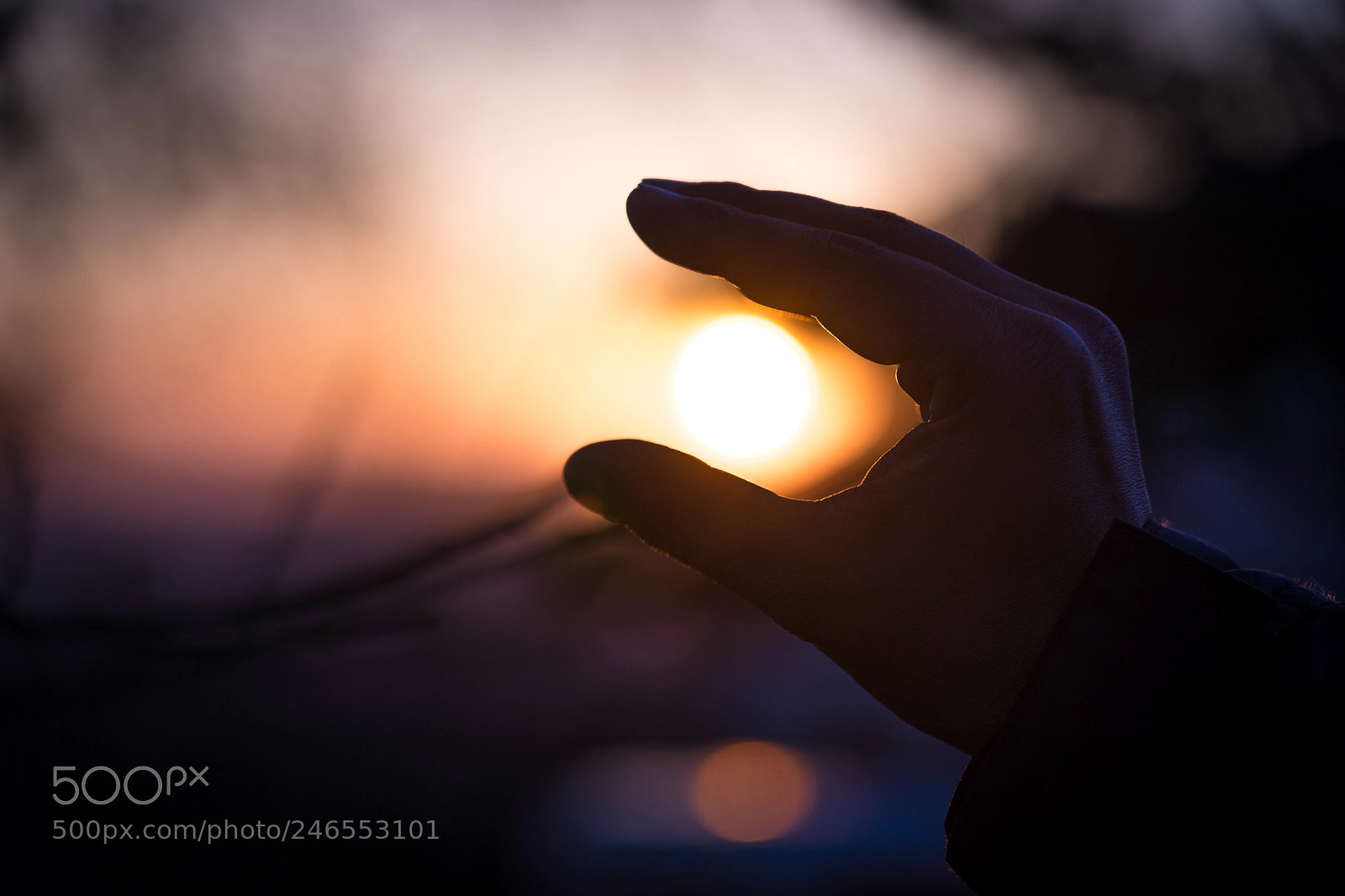 Sony a7 II sample photo. Catch the sun photography
