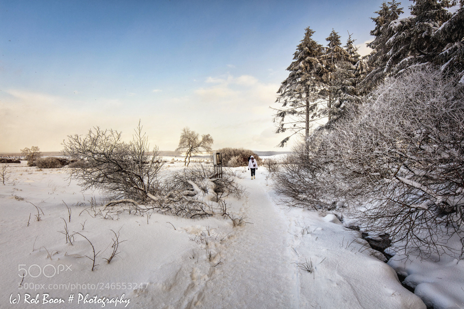 Canon EOS 5DS sample photo. Winter @ hautes fagnes 2 photography