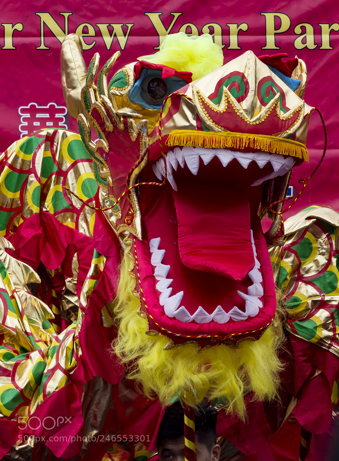 Canon EOS 60D sample photo. Chinese new year 2018 photography