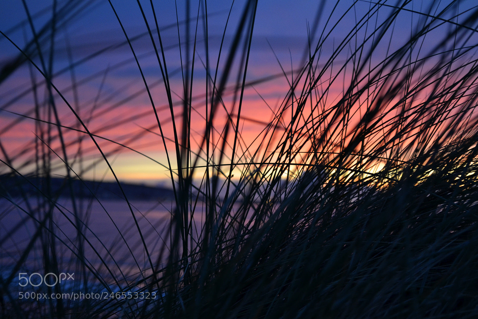 Nikon D3100 sample photo. Hayle beach photography