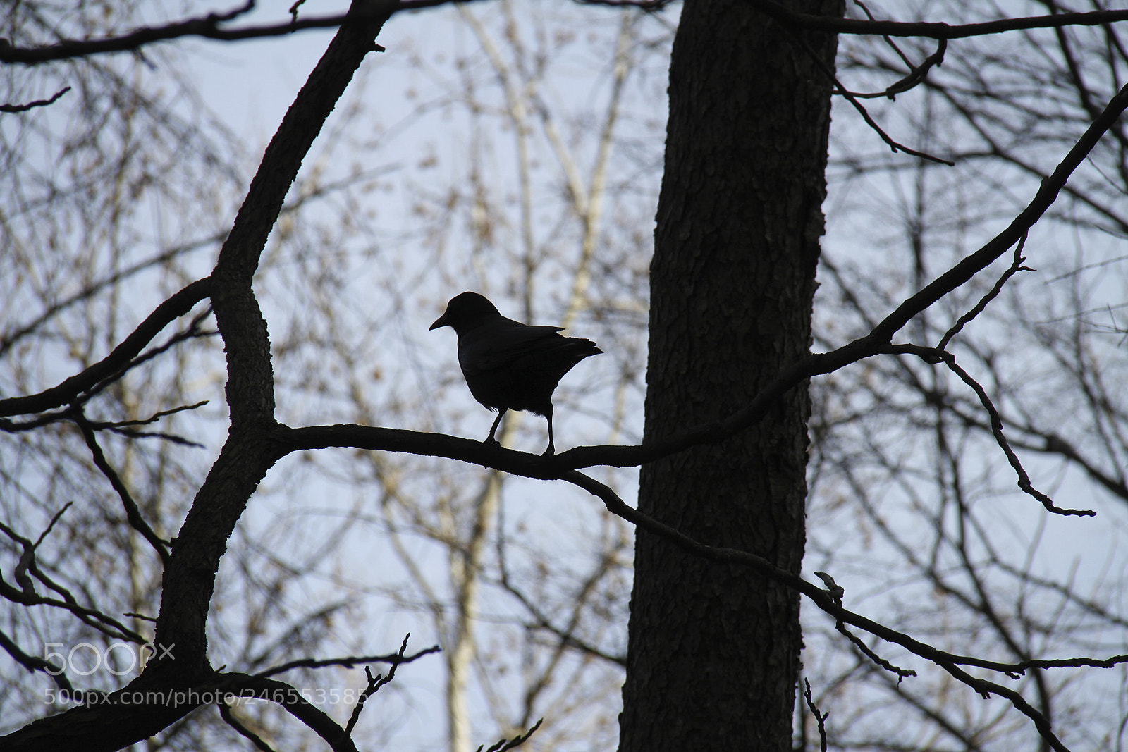 Canon EOS 7D sample photo. Untitled photography