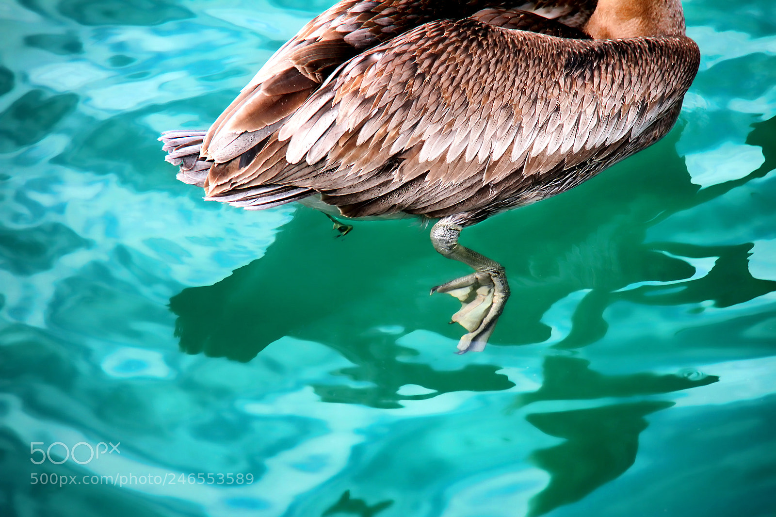 Canon EOS 7D sample photo. Untitled photography