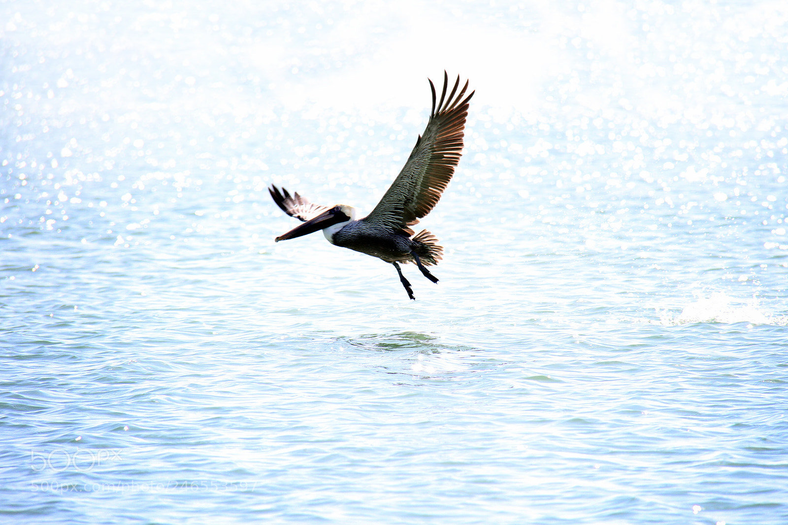 Canon EOS 7D sample photo. Untitled photography