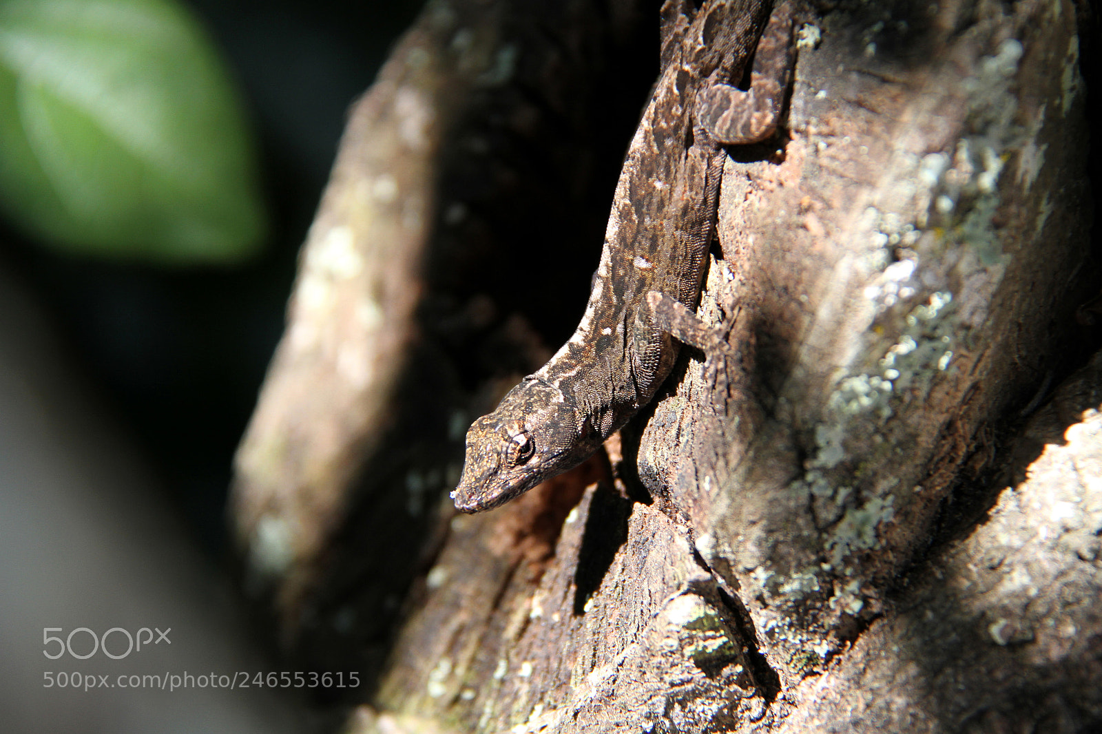 Canon EOS 7D sample photo. Untitled photography