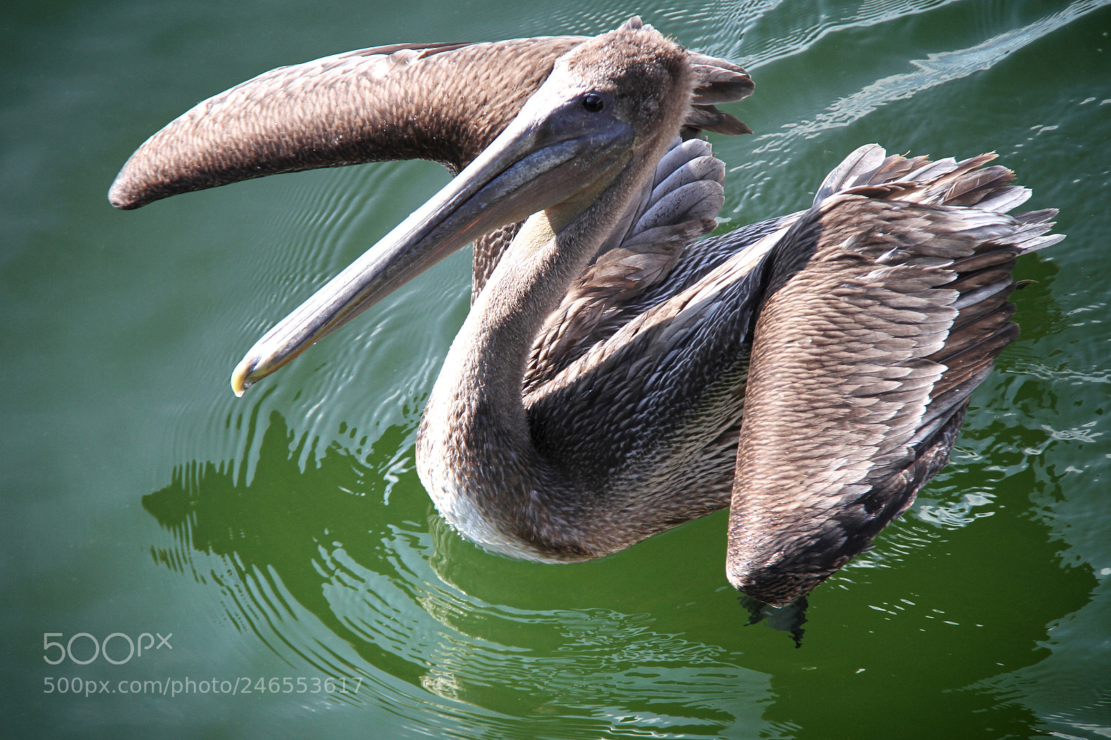 Canon EOS 7D sample photo. Untitled photography