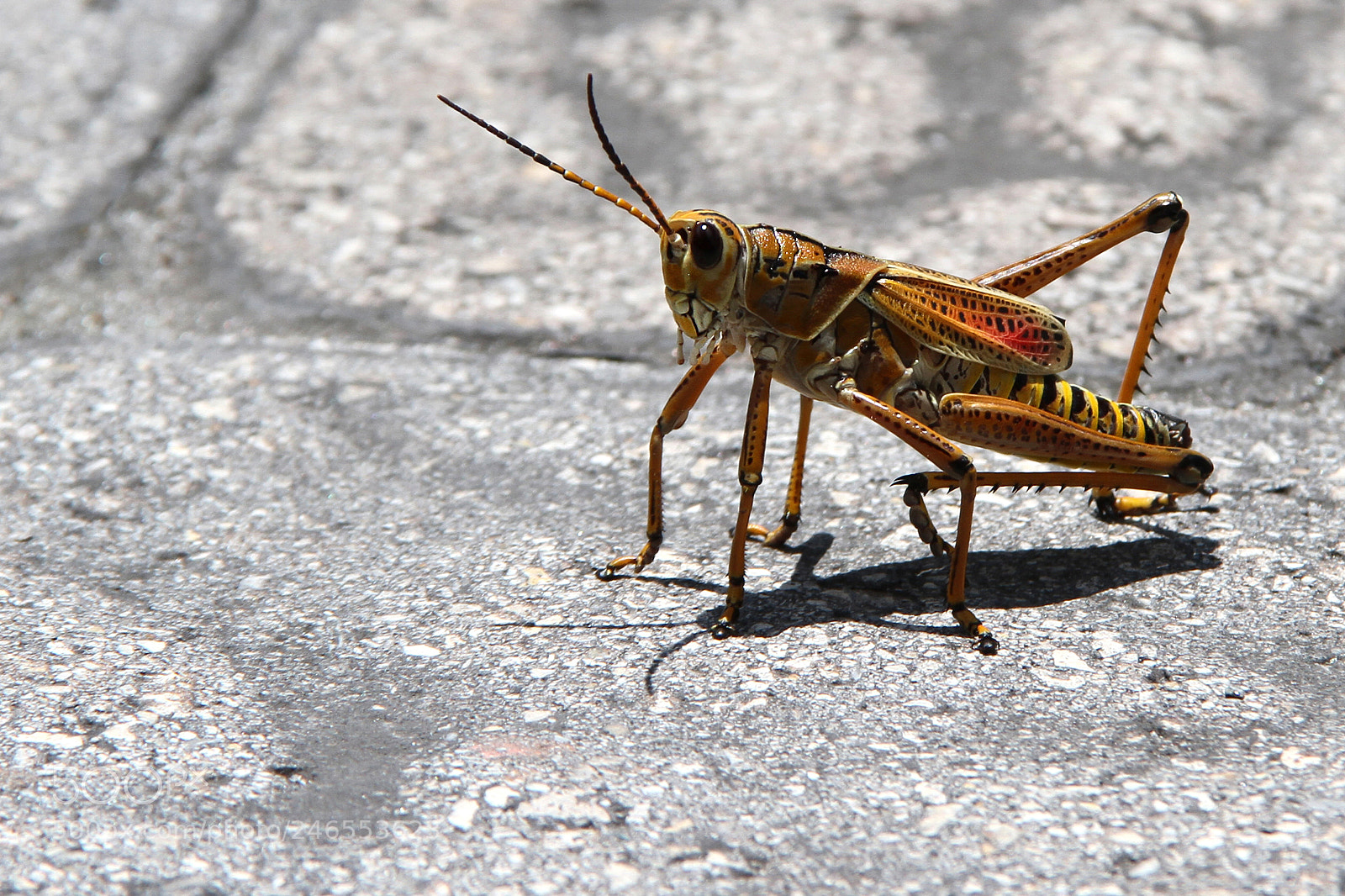 Canon EOS 7D sample photo. Untitled photography