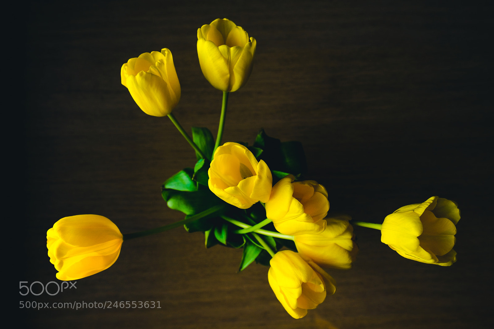 Fujifilm X-T2 sample photo. Yellow tulips photography