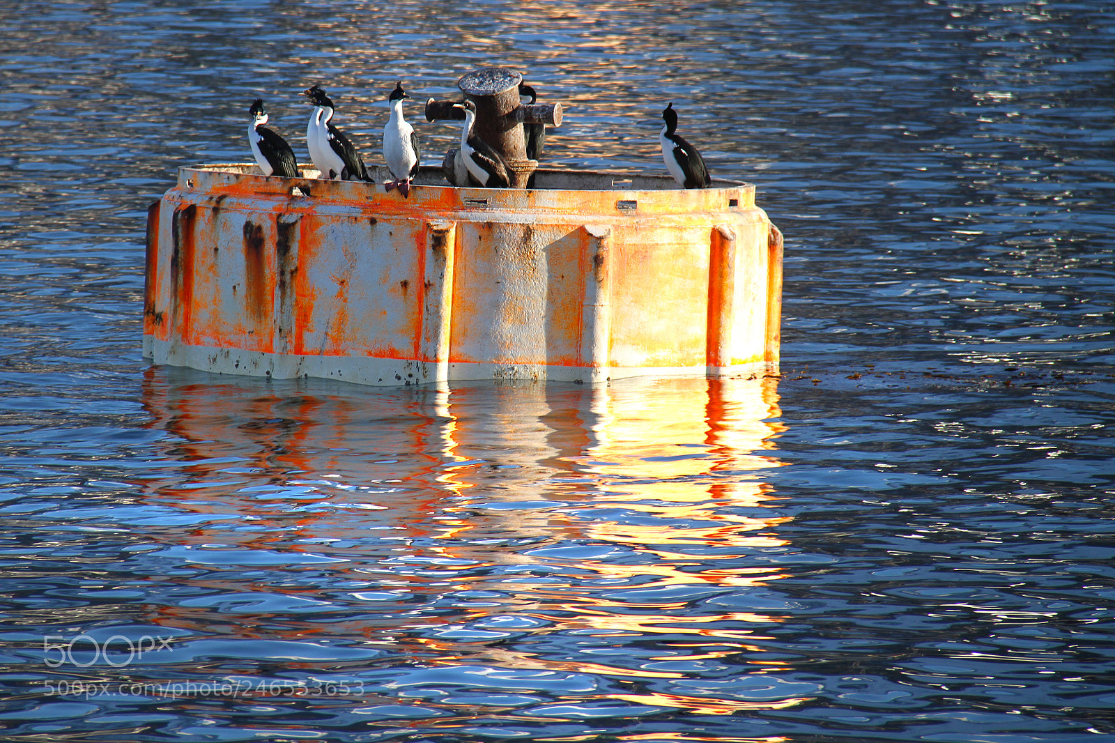 Canon EOS 7D sample photo. Untitled photography