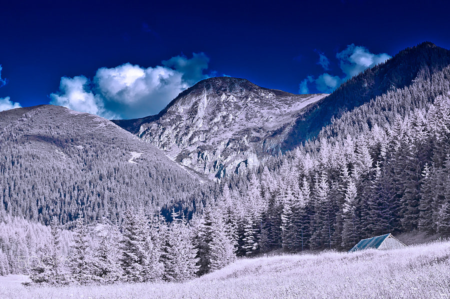 Nikon D90 sample photo. Mountains photography