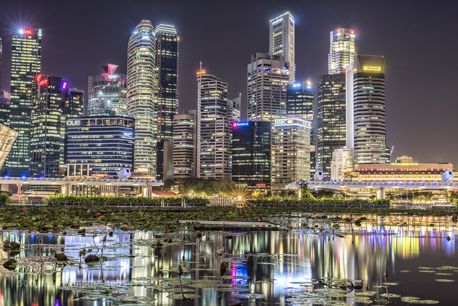 Nikon D810 sample photo. Singapore fd night explored photography