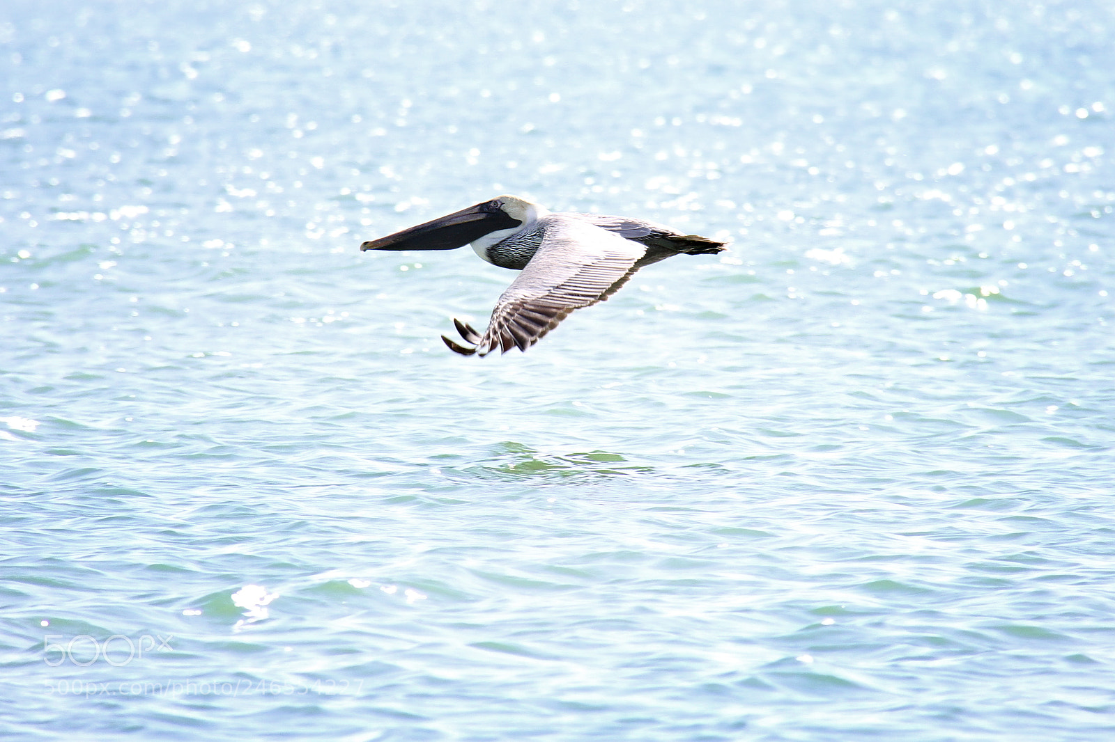 Canon EOS 7D sample photo. Untitled photography