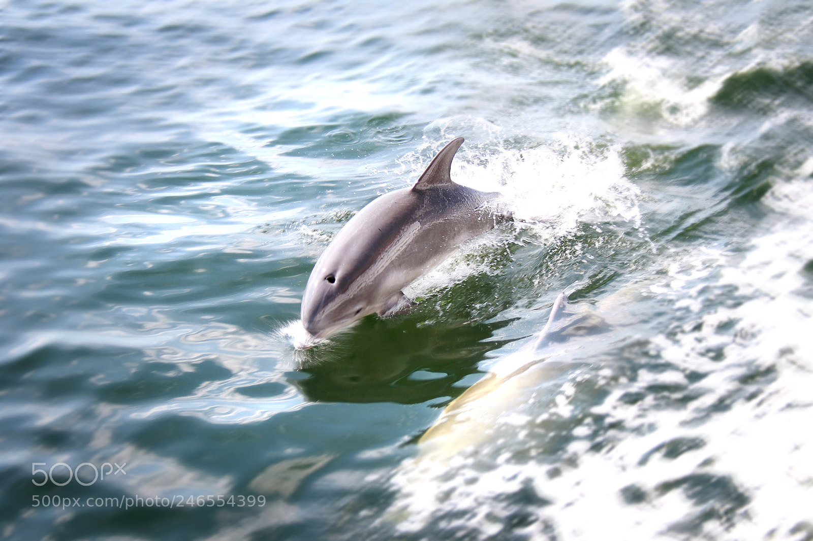 Canon EOS 7D sample photo. Untitled photography