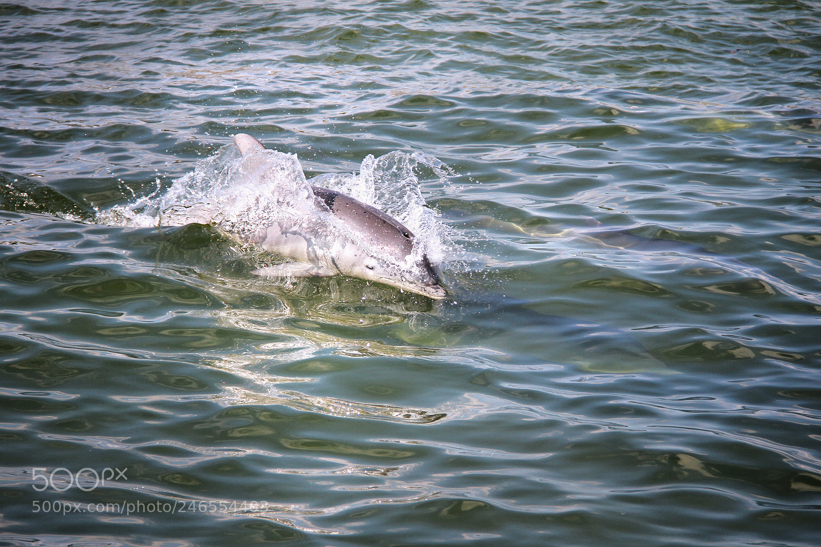 Canon EOS 7D sample photo. Untitled photography