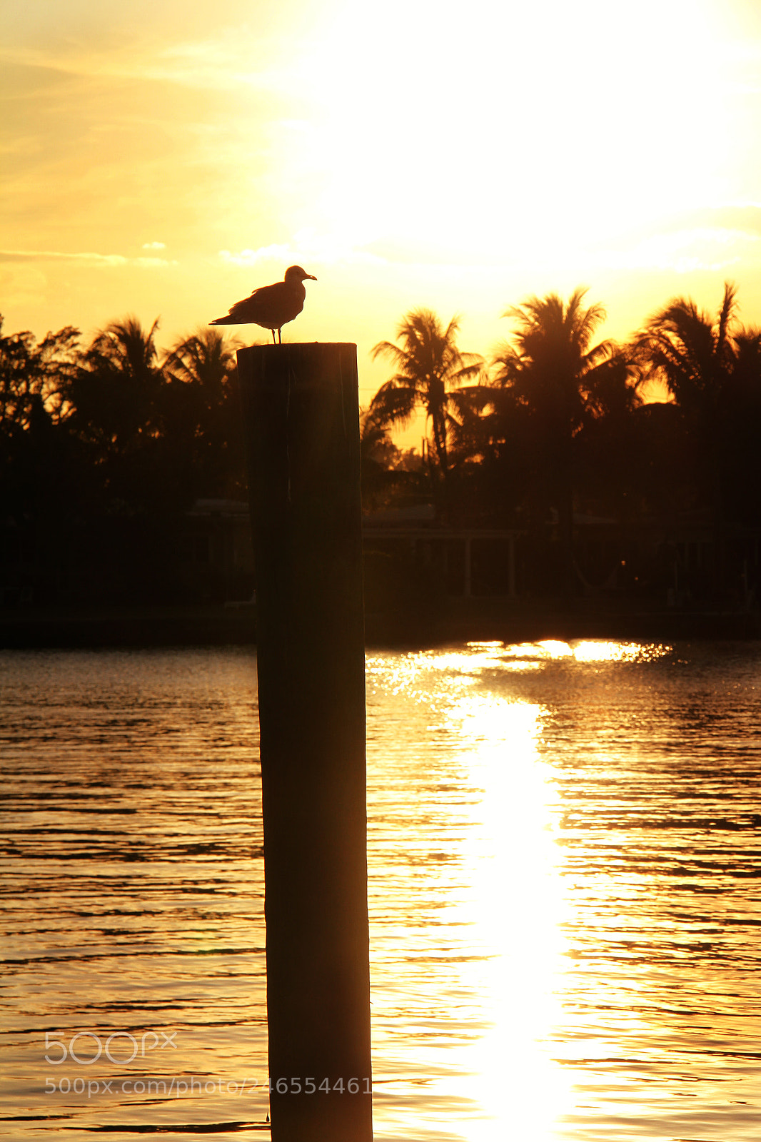 Canon EOS 7D sample photo. Untitled photography