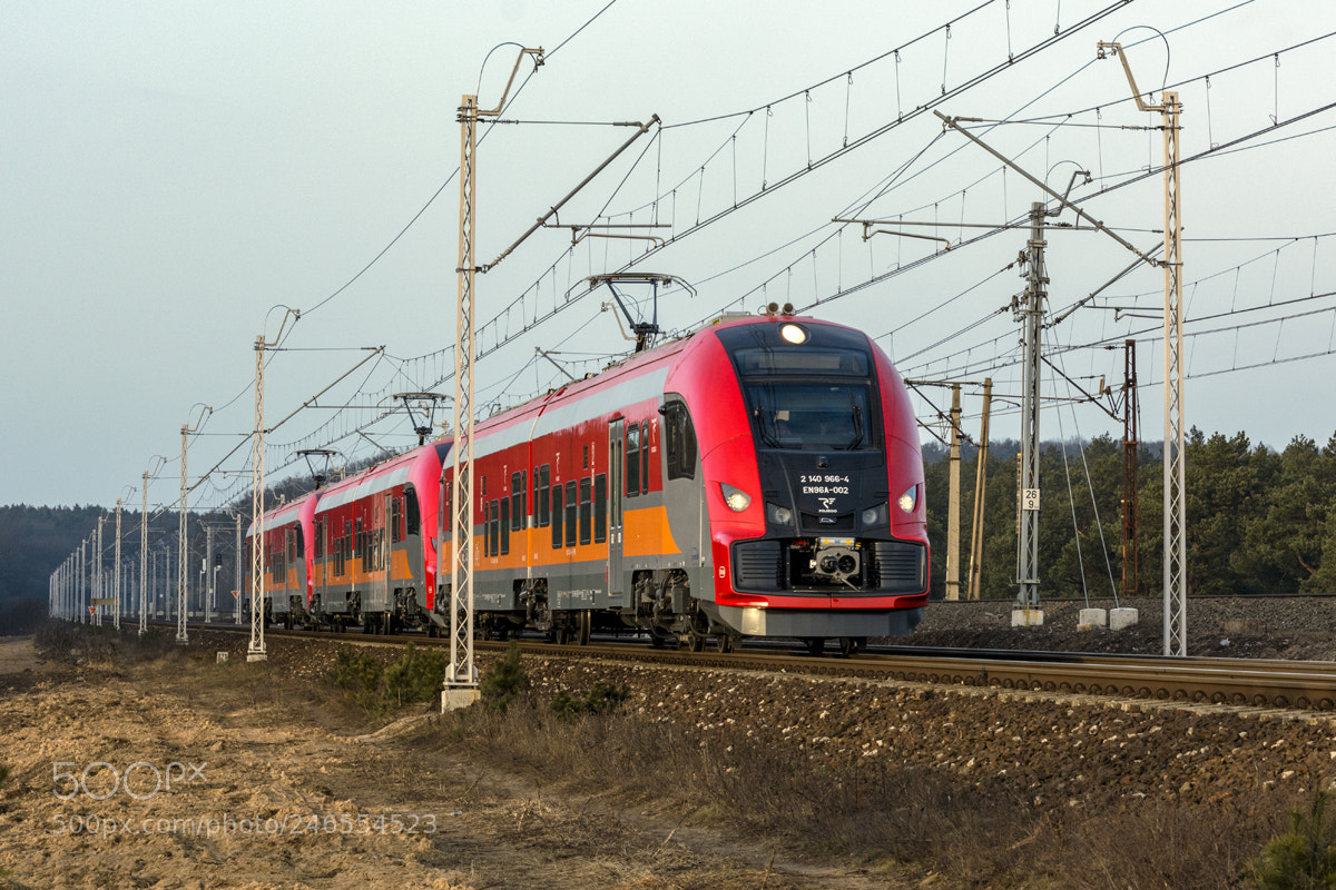 Nikon D5200 sample photo. En96a-002 photography