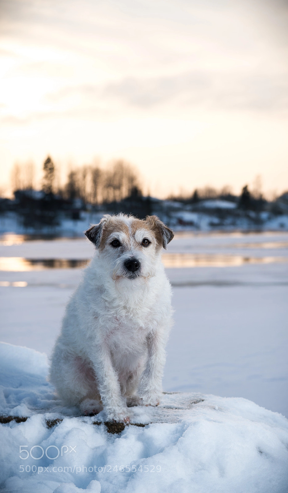 Nikon Df sample photo. Vuh photography