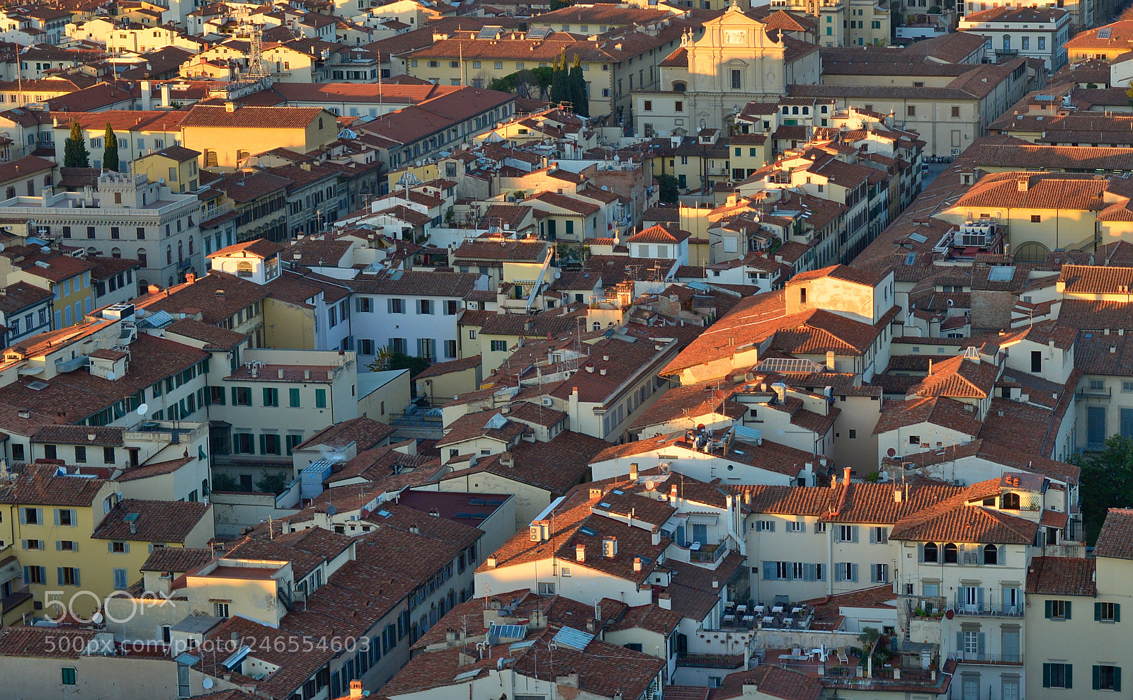 Nikon D600 sample photo. Florence photography