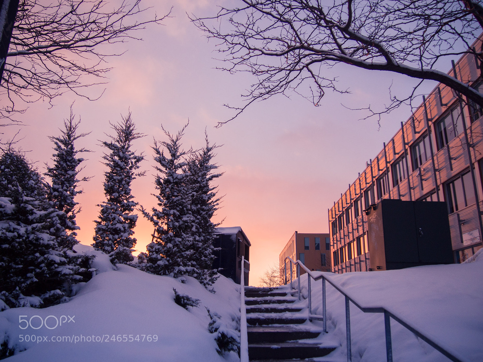 Olympus PEN E-PM2 sample photo. Beautiful dusk photography