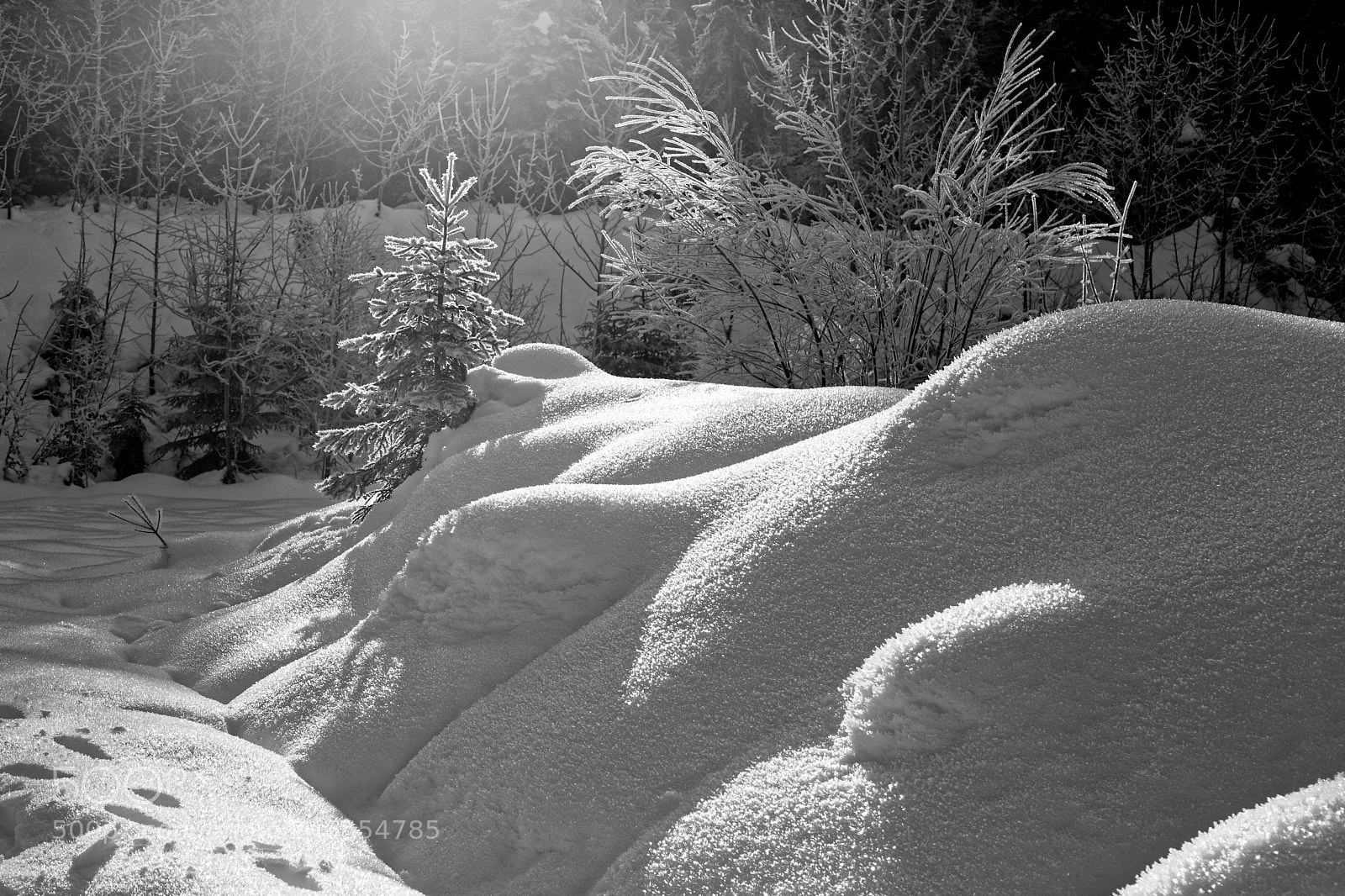 Canon EF 24-105mm F4L IS USM sample photo. Winter photography