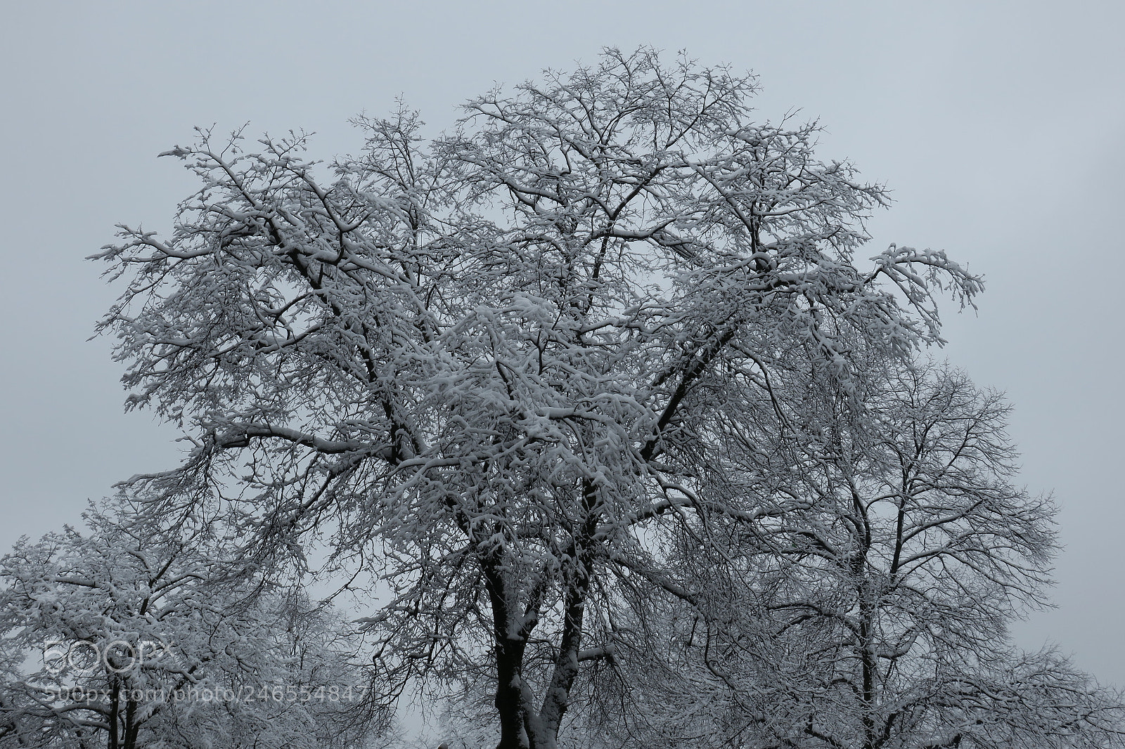 Canon PowerShot G3 X sample photo. Winter photography
