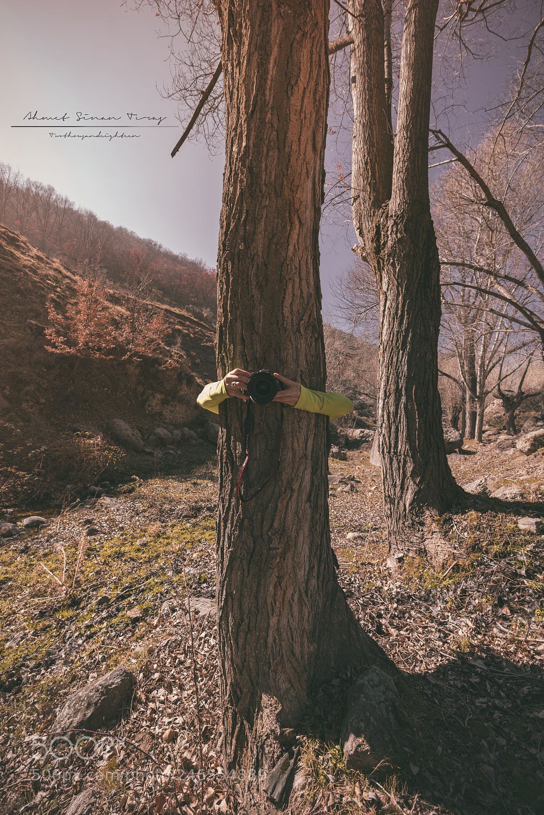 Nikon D800 sample photo. Çevreci photography
