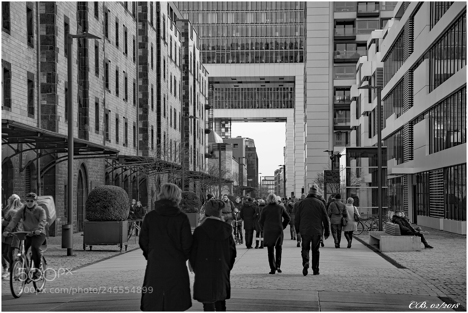 Nikon D7200 sample photo. Rheinauhafen 1 photography