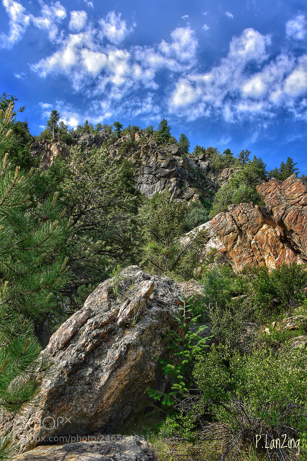 Nikon D810 sample photo. Above the arkansas river photography