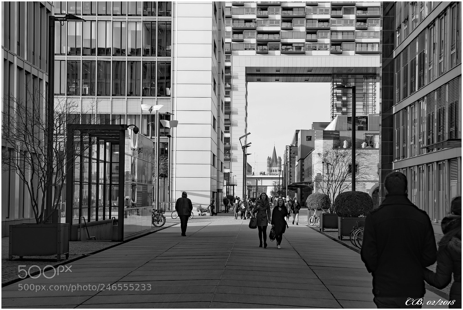 Nikon D7200 sample photo. Rheinauhafen photography
