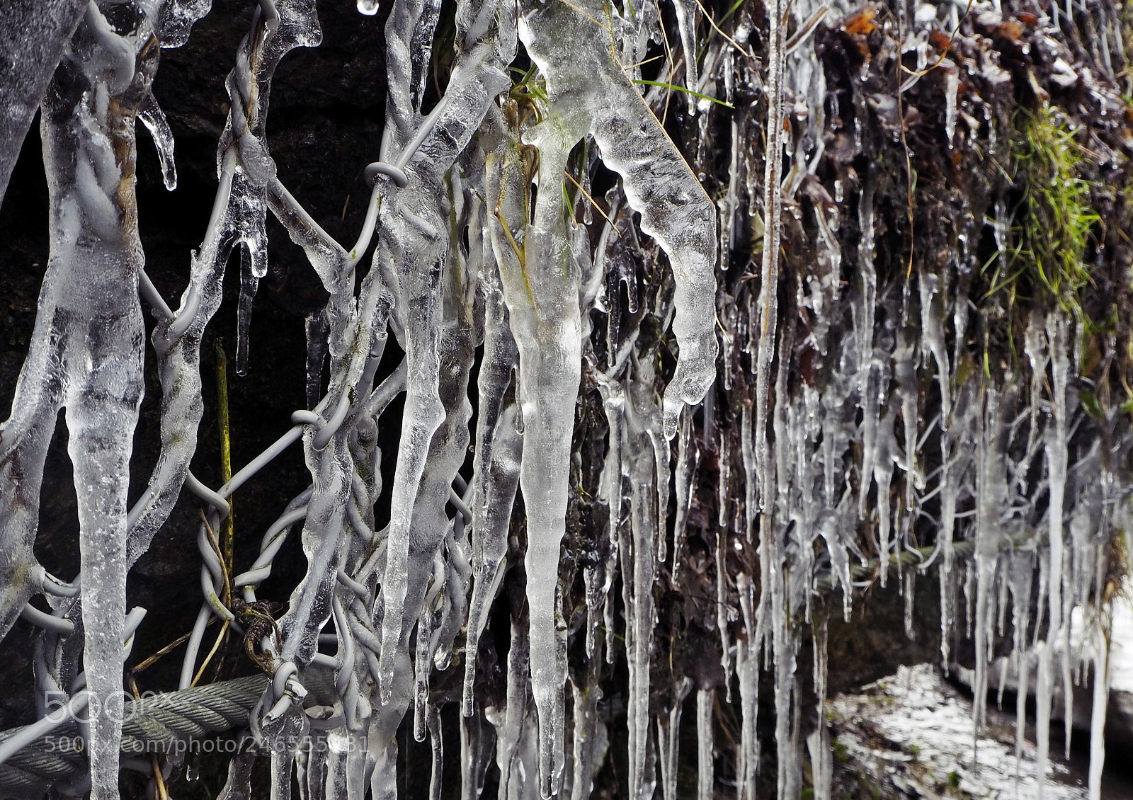 Olympus OM-D E-M10 III sample photo. Ice in nature photography