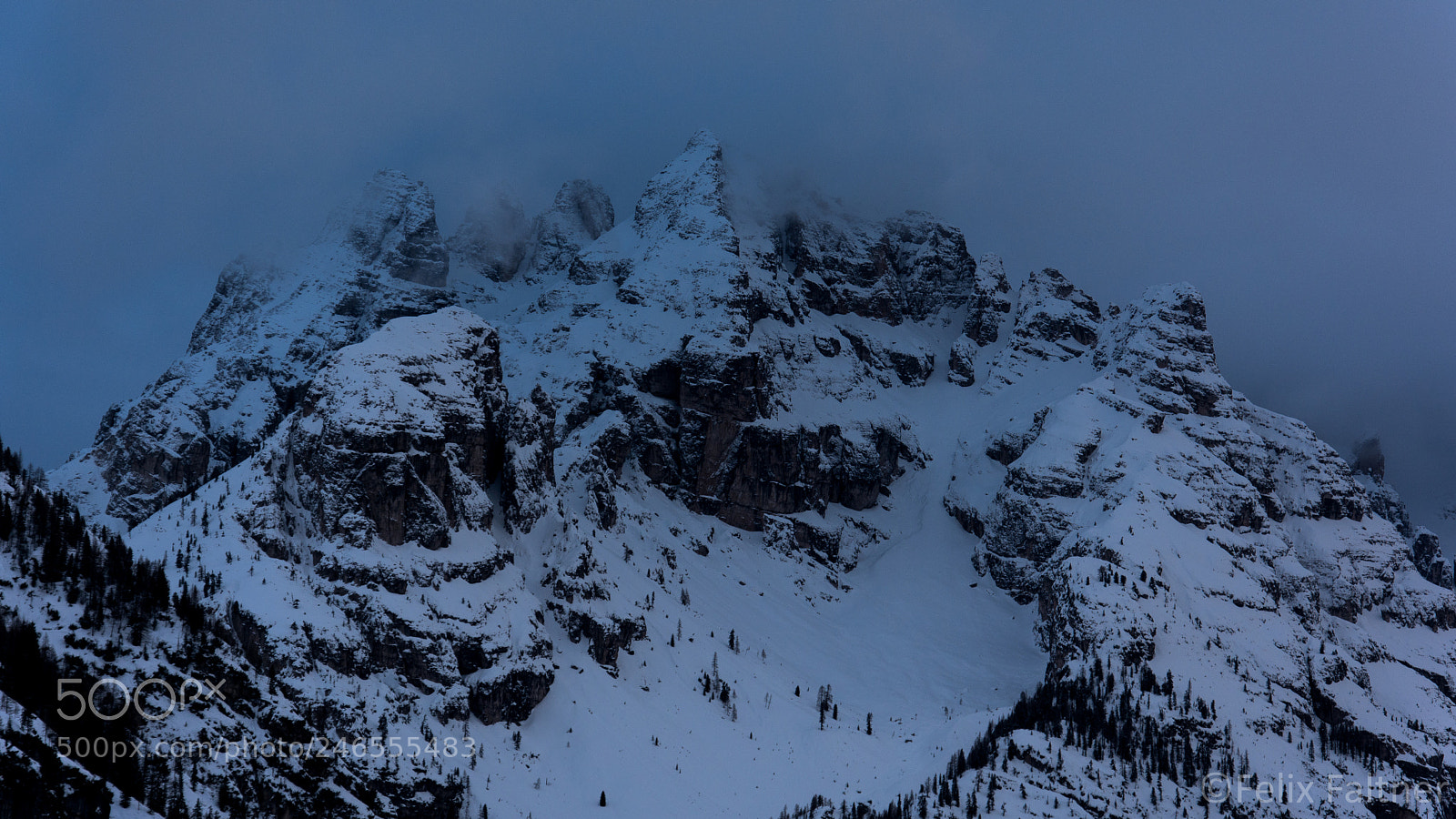 Nikon D7200 sample photo. The cold crown photography