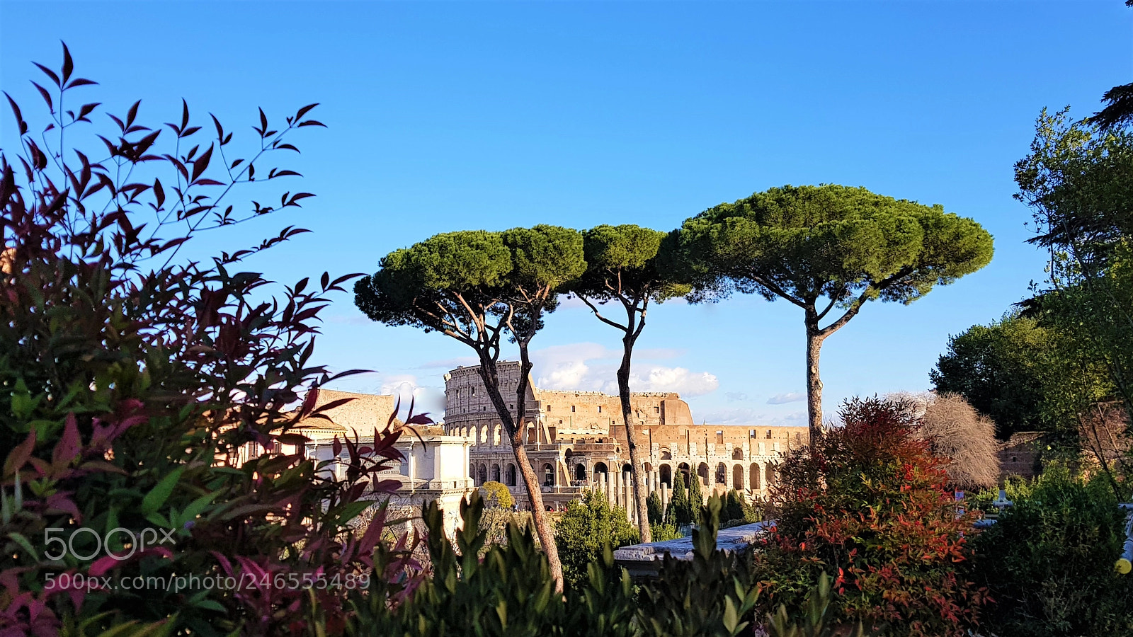 Samsung Galaxy S8+ sample photo. Colloseum photography