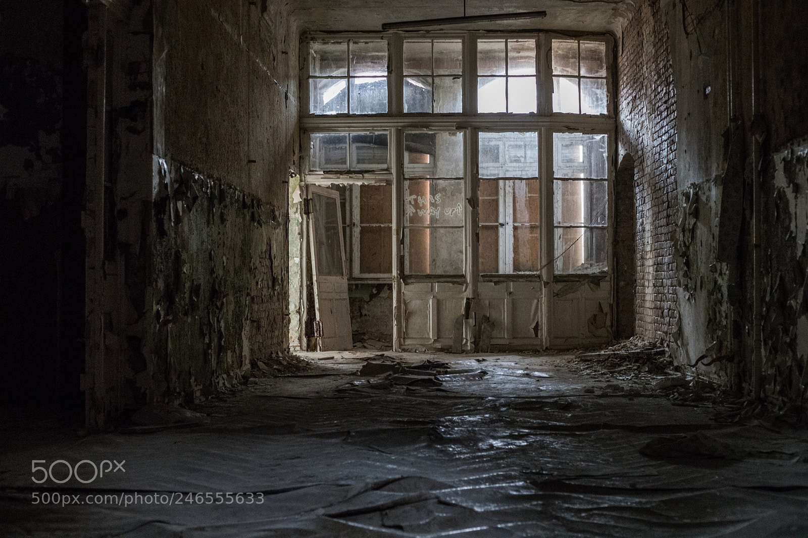 Canon EOS 6D Mark II sample photo. To the basement... photography