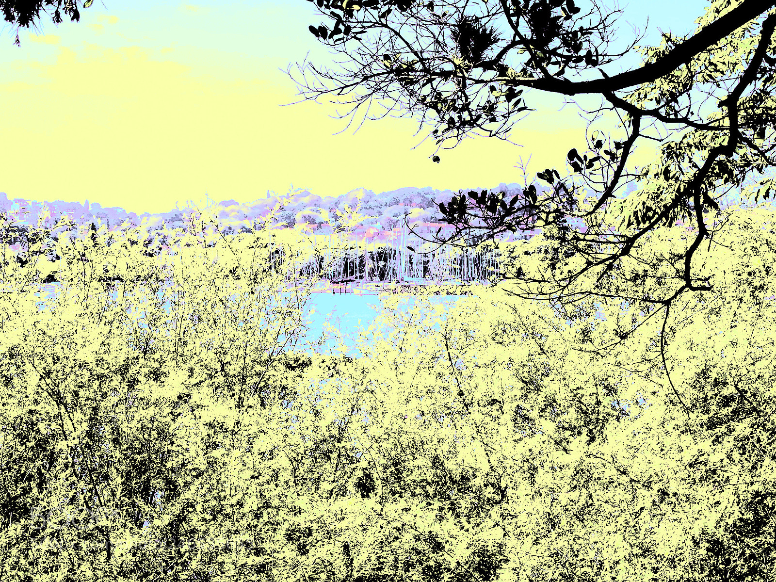 Nikon Coolpix P900 sample photo. Luz negra photography