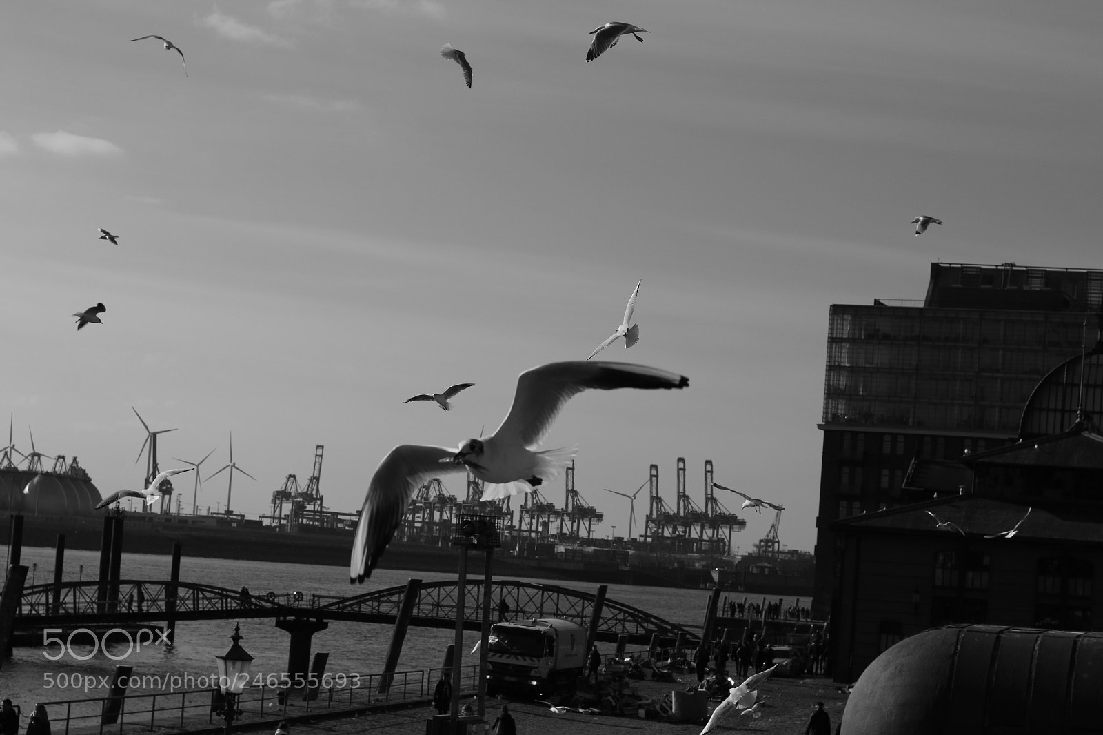 Canon EOS 70D + Canon EF 50mm F1.8 STM sample photo. Img photography